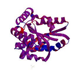 Image of CATH 1gtv