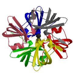 Image of CATH 1gun