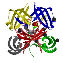Image of CATH 1gut