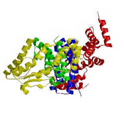 Image of CATH 1gvn