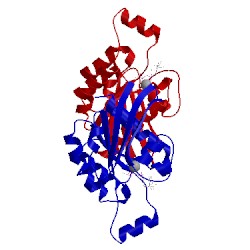 Image of CATH 1gwn