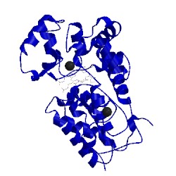 Image of CATH 1gwo