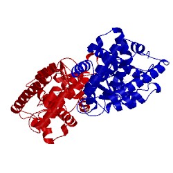 Image of CATH 1gwx