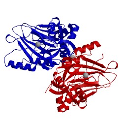 Image of CATH 1gy9