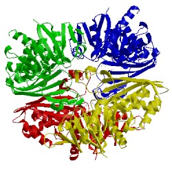 Image of CATH 1gyp
