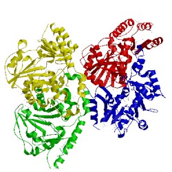 Image of CATH 1h1c