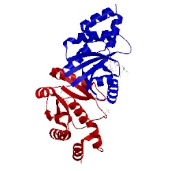 Image of CATH 1h1t