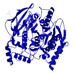 Image of CATH 1h23