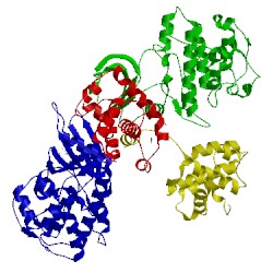 Image of CATH 1h24