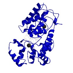 Image of CATH 1h5c