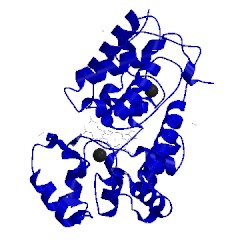Image of CATH 1h5g