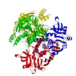 Image of CATH 1h5s