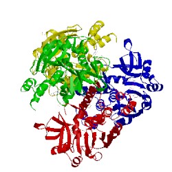 Image of CATH 1h5t