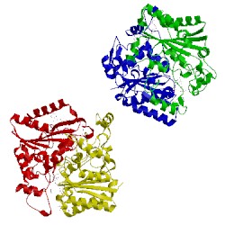 Image of CATH 1h69