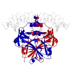 Image of CATH 1h6f