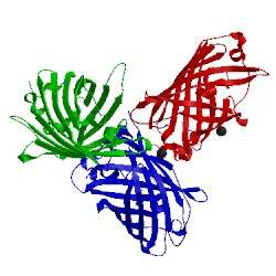 Image of CATH 1h6r
