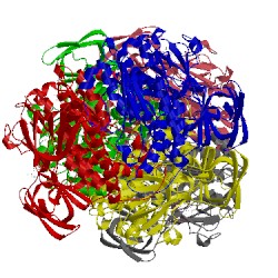 Image of CATH 1h6v