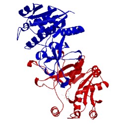 Image of CATH 1h7t