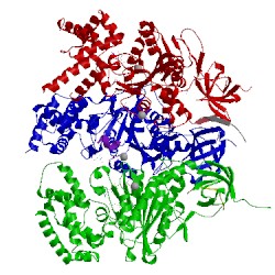 Image of CATH 1h8h