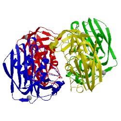 Image of CATH 1ha5