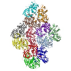 Image of CATH 1hb9