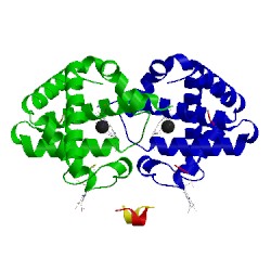 Image of CATH 1hba