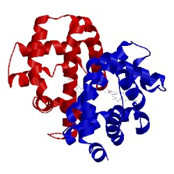 Image of CATH 1hbi