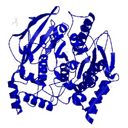 Image of CATH 1hbj