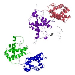 Image of CATH 1hbs