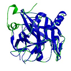 Image of CATH 1hbt