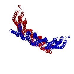 Image of CATH 1hci