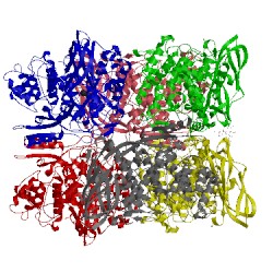 Image of CATH 1hcy