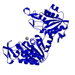 Image of CATH 1hdi