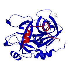 Image of CATH 1hdt