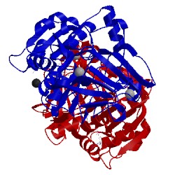 Image of CATH 1hdy