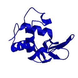 Image of CATH 1hen