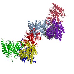 Image of CATH 1hfb