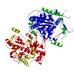 Image of CATH 1hfe