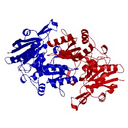 Image of CATH 1hfj