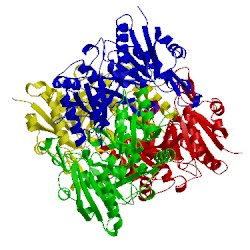 Image of CATH 1hg0