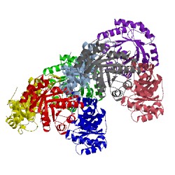 Image of CATH 1hg3