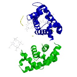 Image of CATH 1hga