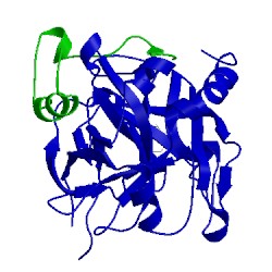 Image of CATH 1hgt