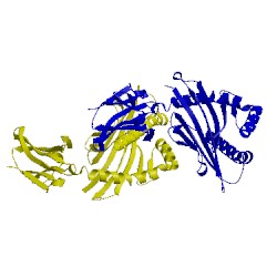 Image of CATH 1hhi