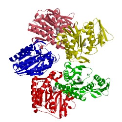 Image of CATH 1hi9