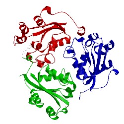 Image of CATH 1hiy