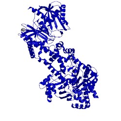 Image of CATH 1hkc