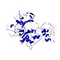 Image of CATH 1hkg