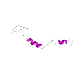 Image of CATH 1hkgA01