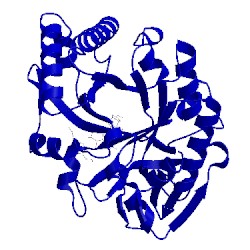 Image of CATH 1hki